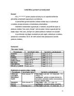 Biznesa plāns 'Viesu nams "Ezeriņš"', 13.