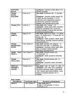 Biznesa plāns 'Viesu nams "Ezeriņš"', 14.