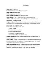 Referāts 'Interjera dizains', 3.