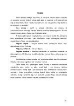 Referāts 'Interjera dizains', 5.