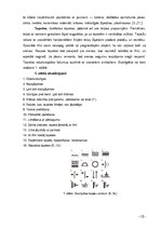 Referāts 'Interjera dizains', 10.