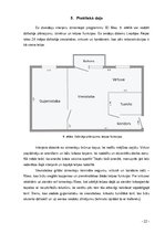 Referāts 'Interjera dizains', 22.