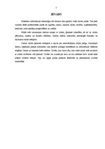 Referāts 'Datoru priekšrocības', 3.