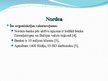 Prezentācija 'Organizācijas tēla analīze: Nordea piemērs', 8.