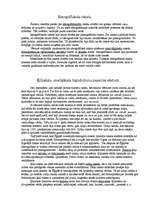 Referāts 'Ķīļraksts', 1.