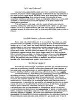 Referāts 'Ķīļraksts', 2.