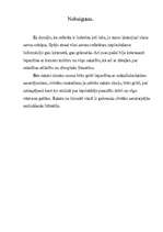 Referāts 'Ķīļraksts', 11.