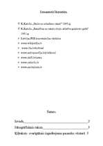 Referāts 'Ķīļraksts', 13.