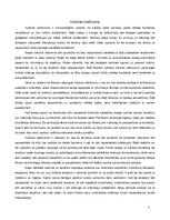 Referāts 'Satīra, kas atmasko amerikāņu kultūru H. Mainera esejā “Naciremas ķermeņa rituāl', 7.