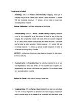 Konspekts 'Iceland', 5.