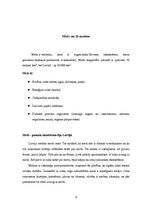 Referāts 'Mežs kā resurss', 3.