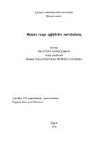 Referāts 'Maizes rauga ogļhidrātu metabolisms', 1.