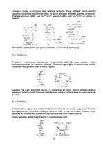 Referāts 'Maizes rauga ogļhidrātu metabolisms', 6.