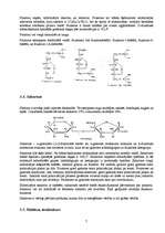 Referāts 'Maizes rauga ogļhidrātu metabolisms', 7.