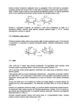 Referāts 'Maizes rauga ogļhidrātu metabolisms', 8.