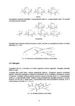 Referāts 'Maizes rauga ogļhidrātu metabolisms', 9.