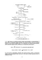 Referāts 'Maizes rauga ogļhidrātu metabolisms', 17.