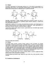Referāts 'Maizes rauga ogļhidrātu metabolisms', 19.