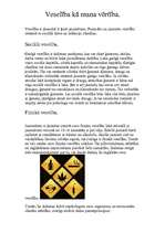 Referāts 'Veselība kā mana vērtība', 1.