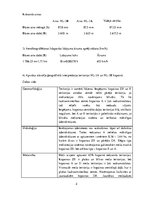 Paraugs 'Iepazīšanās ar stereopāru ģeometriskajām īpašībām un vizuālās dešifrēšanas (inte', 2.