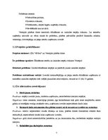 Biznesa plāns 'Restorāna un kabarē "Pie bagātās kundzes" izveides projekts', 4.