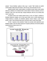 Biznesa plāns 'Restorāna un kabarē "Pie bagātās kundzes" izveides projekts', 12.