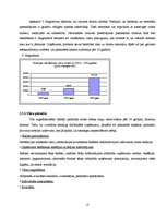 Biznesa plāns 'Restorāna un kabarē "Pie bagātās kundzes" izveides projekts', 13.