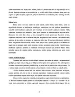 Biznesa plāns 'Restorāna un kabarē "Pie bagātās kundzes" izveides projekts', 19.