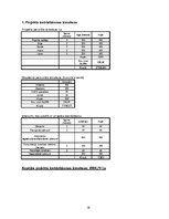 Biznesa plāns 'Restorāna un kabarē "Pie bagātās kundzes" izveides projekts', 28.