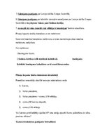 Konspekts 'Pilsoņu kopuma tiesības un Satversmes tiesas process', 3.