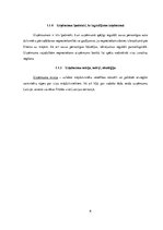 Biznesa plāns 'Biznesa plāns', 6.