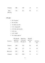 Biznesa plāns 'Biznesa plāns', 8.