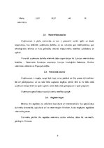 Biznesa plāns 'Biznesa plāns', 9.