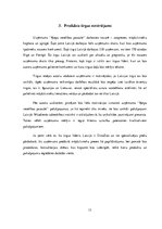 Biznesa plāns 'Biznesa plāns', 13.