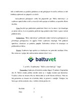 Biznesa plāns 'Biznesa plāns', 17.