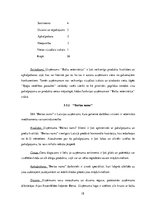 Biznesa plāns 'Biznesa plāns', 18.