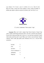 Biznesa plāns 'Biznesa plāns', 19.