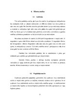 Biznesa plāns 'Biznesa plāns', 21.