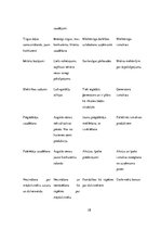 Biznesa plāns 'Biznesa plāns', 28.