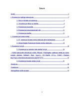 Referāts 'E-komercijas biznesa modeļi Latvijā', 2.