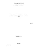 Konspekts 'Galvas smadzeņu hemorāģisks infarkts', 1.