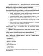 Referāts 'SIA "Arkolat" mārketinga komunikācijas', 6.