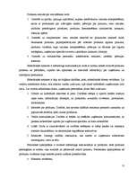 Referāts 'SIA "Arkolat" mārketinga komunikācijas', 12.