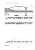 Biznesa plāns 'Sabiedrība ar ierobežotu atbildību "Strautnieki"', 22.