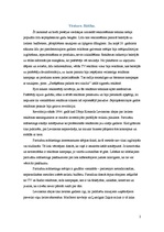 Referāts 'Partizānu mārketings. "Tele 2" reklāmas kampaņa', 2.