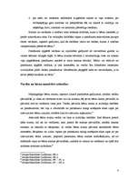 Konspekts 'Aizgādība', 4.