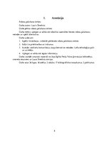 Referāts 'Robotu palaišanas ierīces', 8.