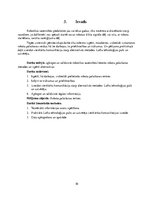 Referāts 'Robotu palaišanas ierīces', 10.