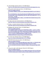 Referāts 'Robotu palaišanas ierīces', 28.