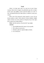 Referāts 'Uzņēmuma "X" finanšu analīze', 3.